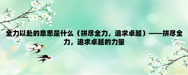 全力以赴的意思是什么（